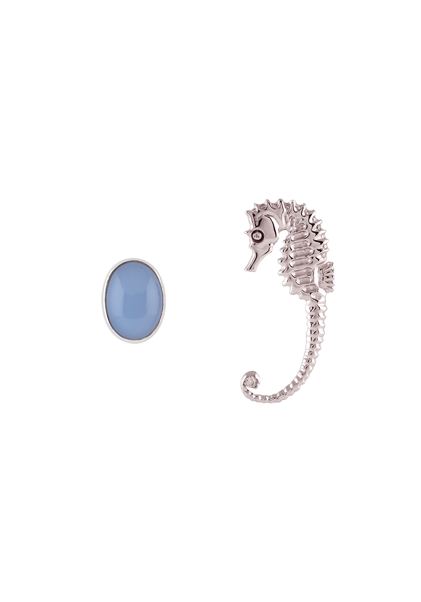 Boucles d'oreilles Hippocampe