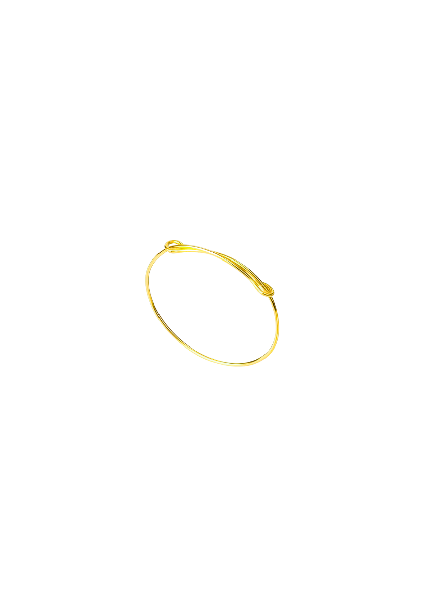 Gold Flit Ring