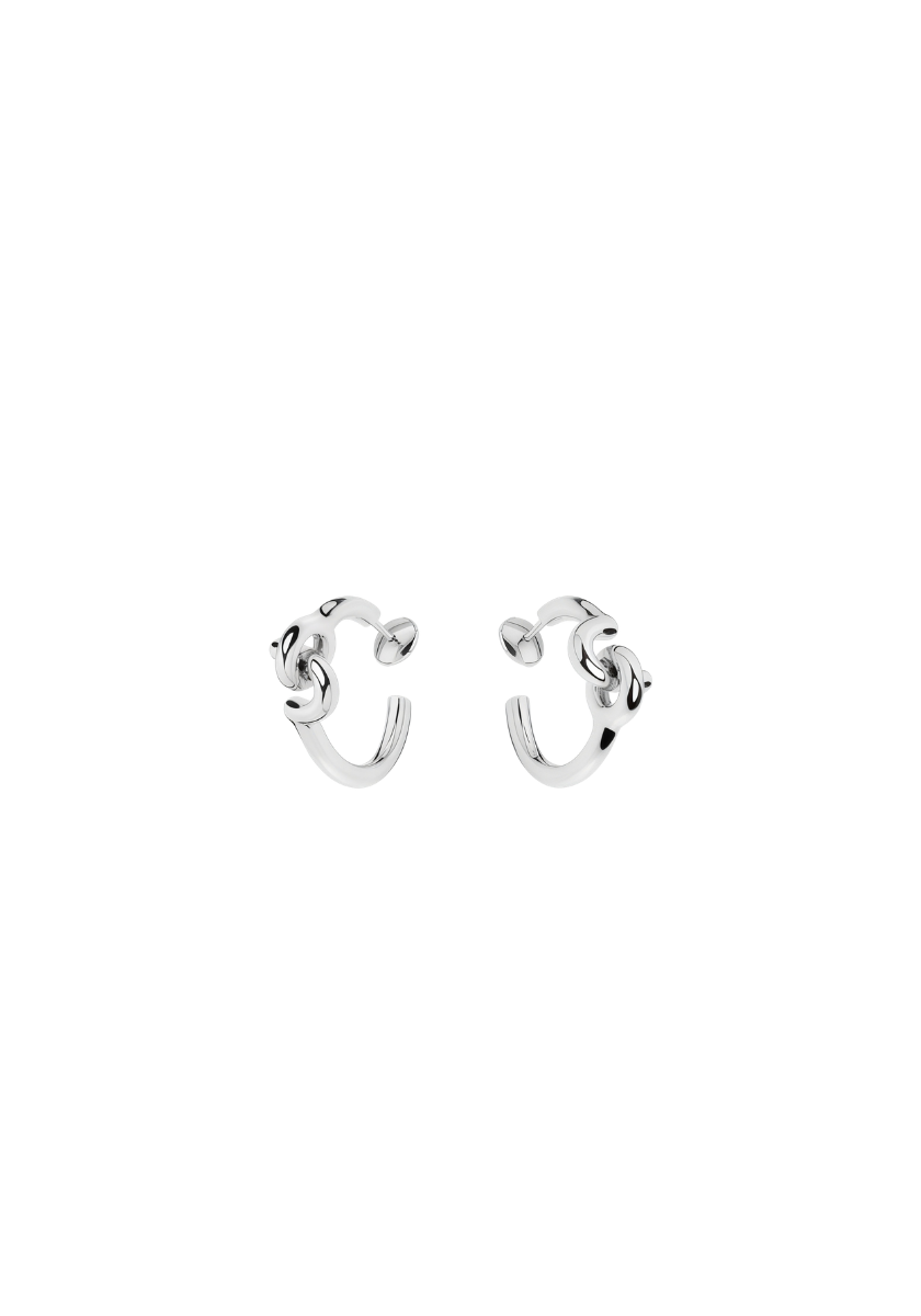 Hook Earrings